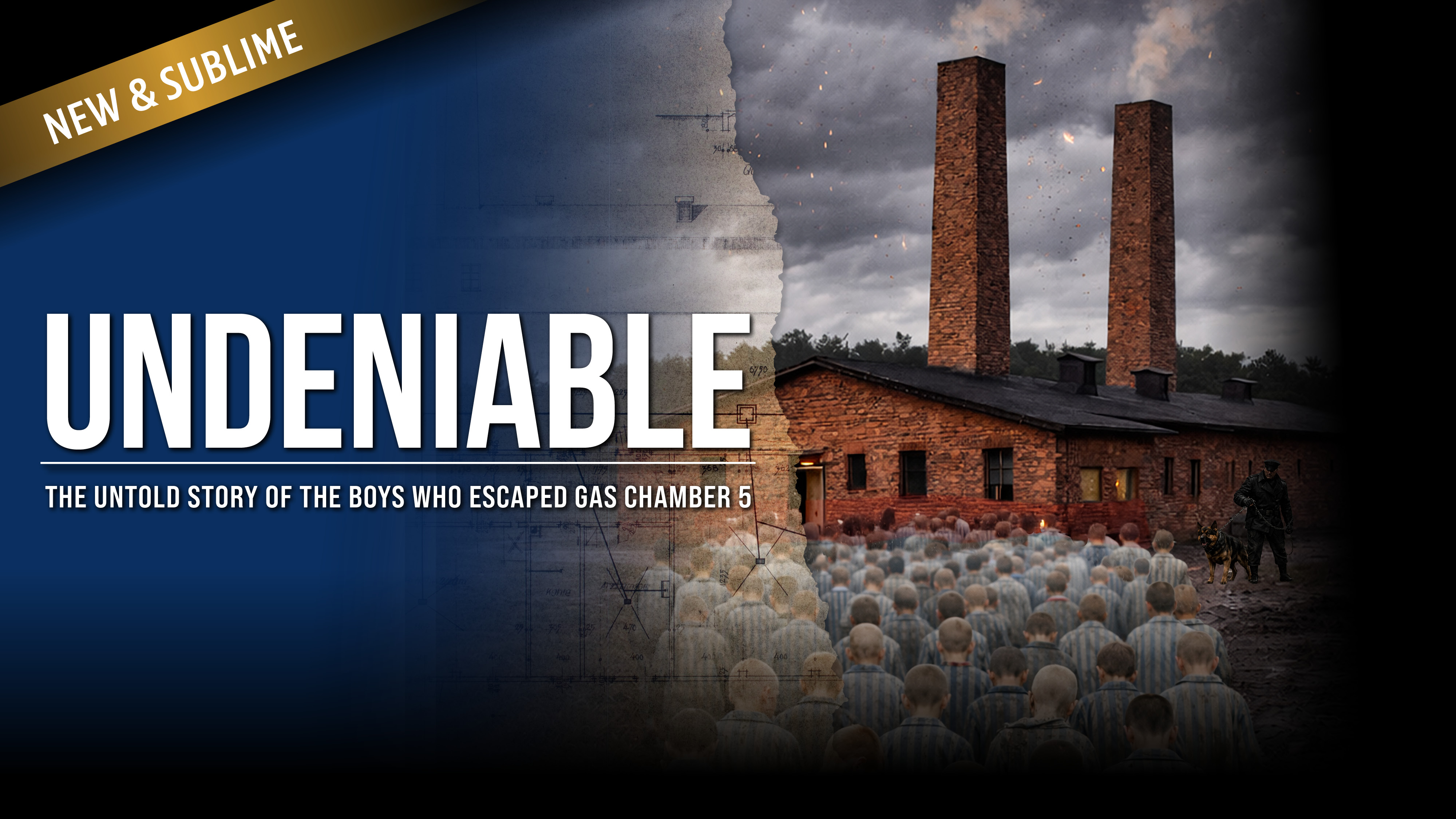 Thumbnail for Undeniable